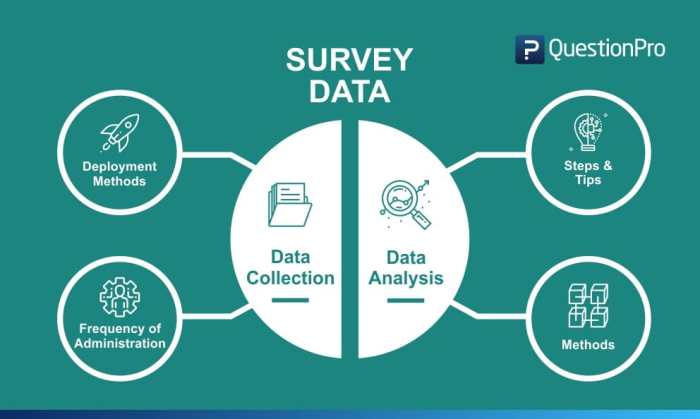 Using Surveys to Collect Customer Data