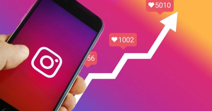 Using Instagram Analytics