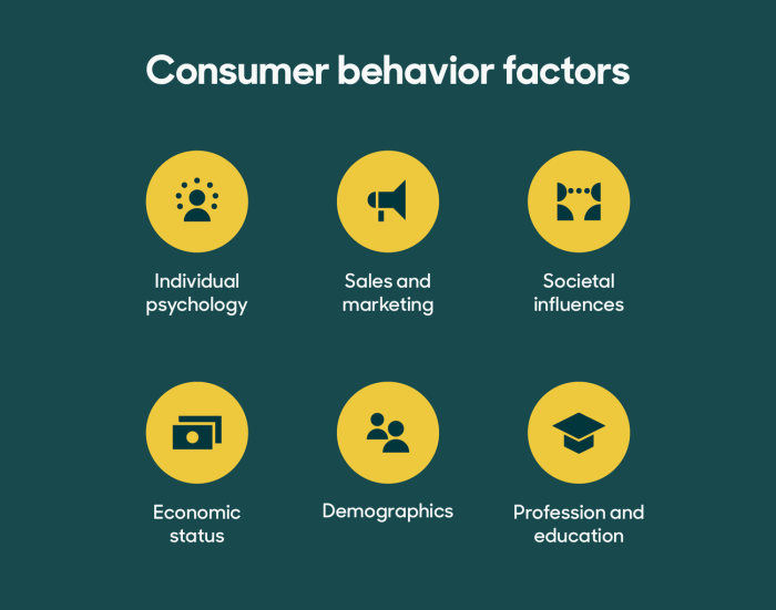 Understanding Consumer Behavior