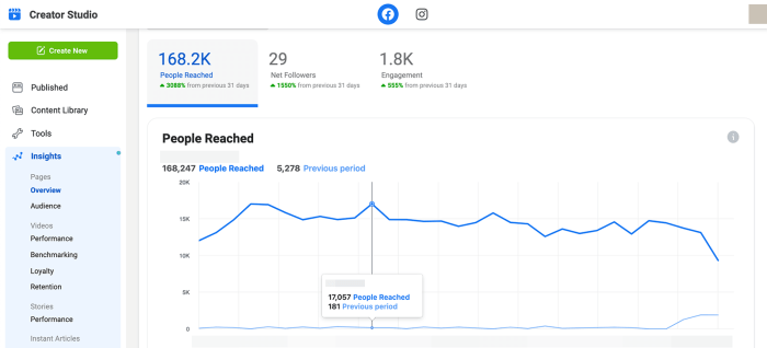 Using Facebook Insights