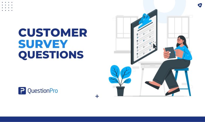 Using Surveys for Customer Insights