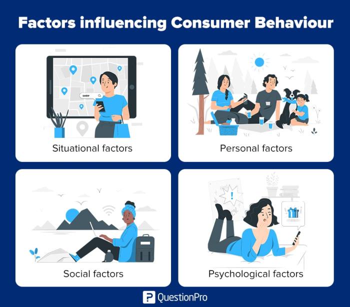 Understanding Consumer Behavior