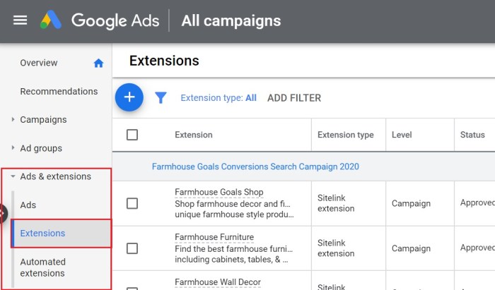 Using Google Ads Extensions