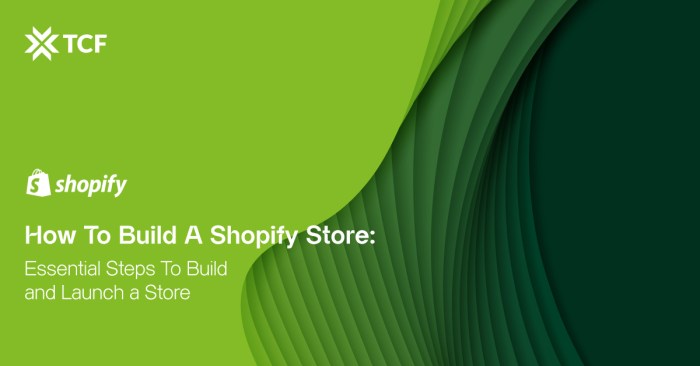 Building a Shopify Store